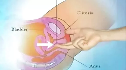 Varför behöver du Porr när grstis porr film det är min saftiga slit i närheten