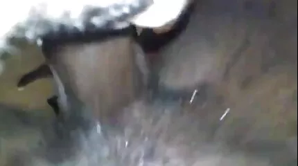 Attraktiv kvinna klassiska svenska porrfilmer tydligt galopperade på stammen